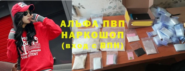 прущие грибы Грязовец
