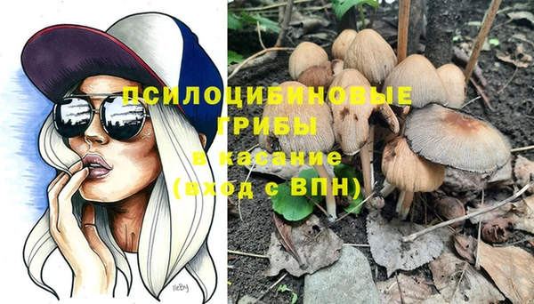 трава Покровск