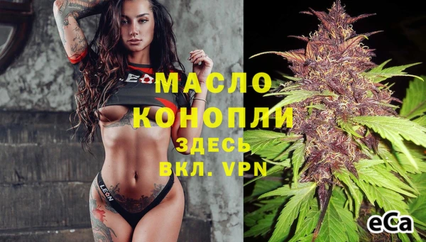 spice Пересвет
